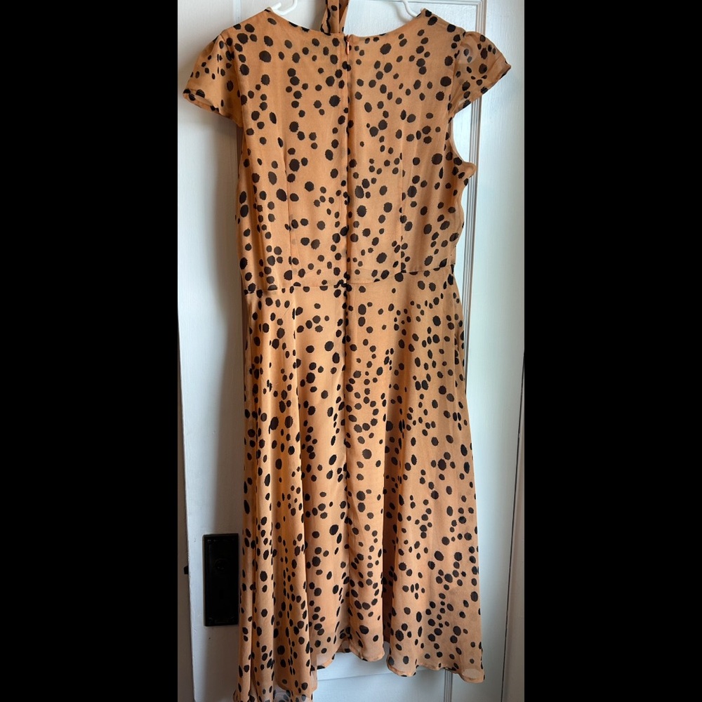 Lindy Bop Tan and Black Polka Dot Midi Dress - Picture 2 of 4